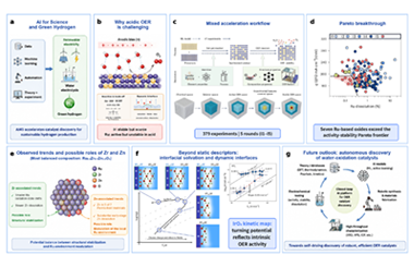 AI for water oxidation: From activity-stability optimization to dynamic electrochemical interfaces 2026.101077